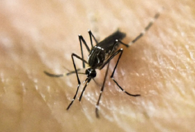 Utah woman is 1st confirmed Zika-related death in continental US 